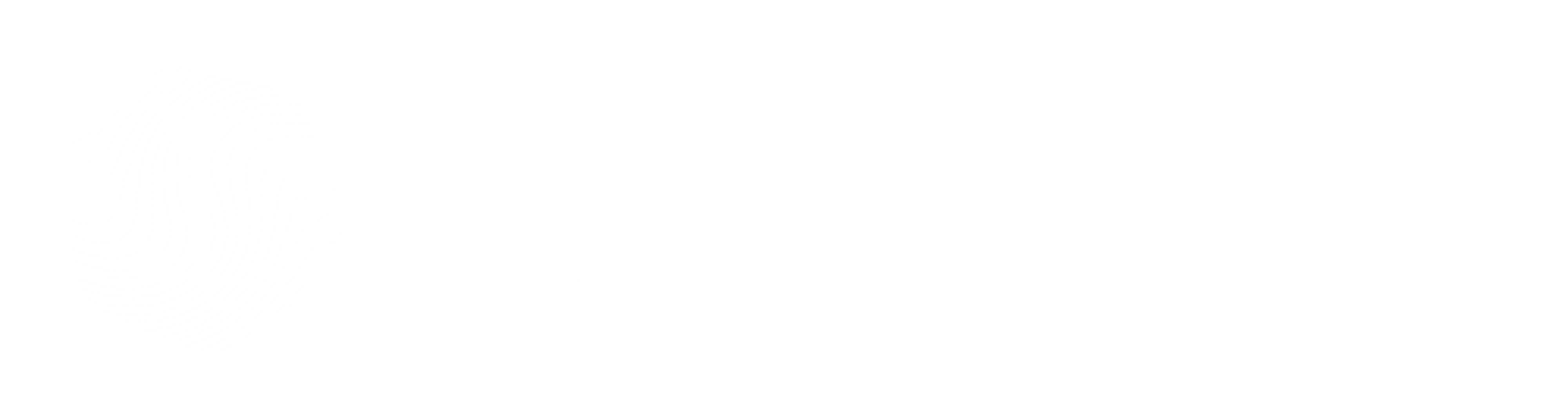 Transformation Partners